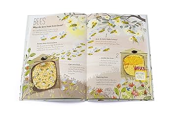 Amazon | The Big Book of Bugs | Zommer, Yuval | Diseases